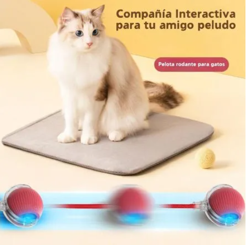 Pelota Interactiva para gatos